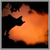feast_of_regrets: Cat silhouetted against orange full moon (Moon Cat)