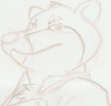 soichiro: Dashing tanuki (Soichiro)