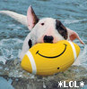 mm_mythos: (LOL!dog)