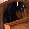 passingbuzzards: Black cat tilting its head to look at something upside down. (cat: tilting head cat)