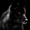 unforgivenson: (Wolf 04)