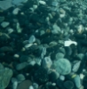 acquadimore: (Default)