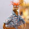 aphrodite_mine: (pepe king prawn - cool dude)