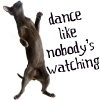 jamjar: dance like nobody's watching (dance)
