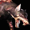 damned_monsters: (dog)