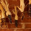 tathra_inth: Ears of rainbow glass corn hung from twine against brick. (Corny)