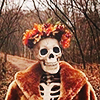 theamazingharper: (Halloween Aesthetic)