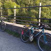 sfred: Two bicycles leaning against a wall with woodland background (Bike)