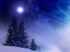 winterknight: (Default)