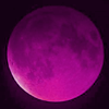 sai_delgado: (pink moon)