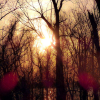 lunescence: (sunset)
