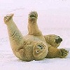 severina: polar bear falling on ice (animals: wipeout)