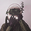 teal: (ivy)