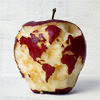 grundyscribbling: a red apple with a world map carved into it (apple world)