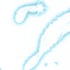 boomgoesthebirdy: Feathers (Default)
