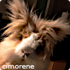 cimorene: Dramatically-lit closeup of a long-haired fluffy bunny (so majestic)