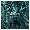 treeshepherd: (alarm)