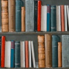 dolorosa_12: (library shelves)