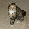 silverthorne: (Footmonster)