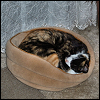 silverthorne: (Ula Nappin')