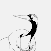 cranekin: (pic#15469779)