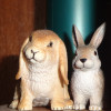 slonchik_gunfighter: (angry bunnies)