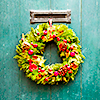 epiphyta: (letterbox wreath)