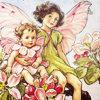 turlough: two tiny fairies with apple blossoms, art by Cecily Mary Baker ((spring) another flower fairy)