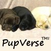 clea2011: (PupVerseTMI)