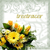 treetracer: (Default)