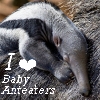 fififolle: (Anteater - I love Baby Anteaters)