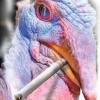 turkeycigarette: (turkey cigarette)