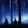 quaggy: Forbidden Forrest scene from the 1st Harry Potter movie (Night)