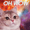 kittyrefuge: (Oh WOW)