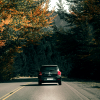 catherines: (drive away)