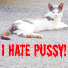 jayregee: (I Hate Pussy)