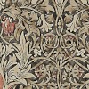dr_zook: morris pattern (snakeshead)