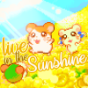 r_tt_n: (sunshine)