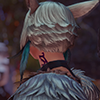aurasight: (pic#15579851)