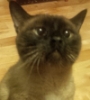 md_meezer: (Default)