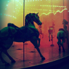 wispywillow: (carousel)