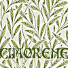 cimorene: Olive green willow leaves on a parchment background (foliage)