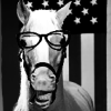 jadinerhine: (Mister Ed)