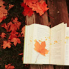 fallcatscoffeeandbooks: (Leaf bookmark)