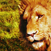 aslandish: (Discernment)