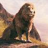 aslandish: (Watchful)