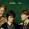 canon_evidence: Lockhart over Harry and Ron; text is dude, no (Lockhart vs. Harry and Ron)