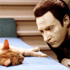 pensnest: Data peers suspiciously at orange cat (Trek Data examines cat)