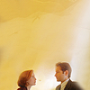 naushika: (X-Files - M/S - small and yellow)