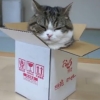 if_i_fits_mod: (Default)